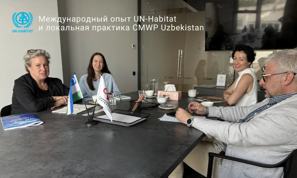 Международный опыт и локальная практика городского развития